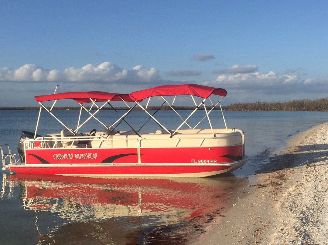 Tour The Glades - Private Wildlife Tours-大沼泽地必去景点