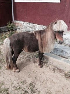 Yankee Craftsman-Wayland必去景点