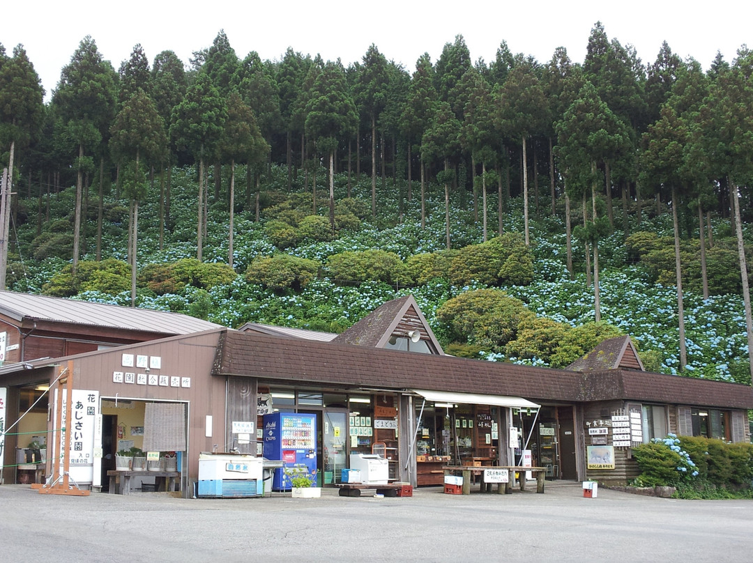 野迫川村旅游攻略图片