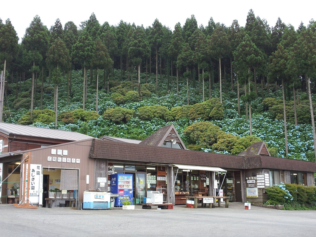 野迫川村旅游景点-Hanazono Ajisaien