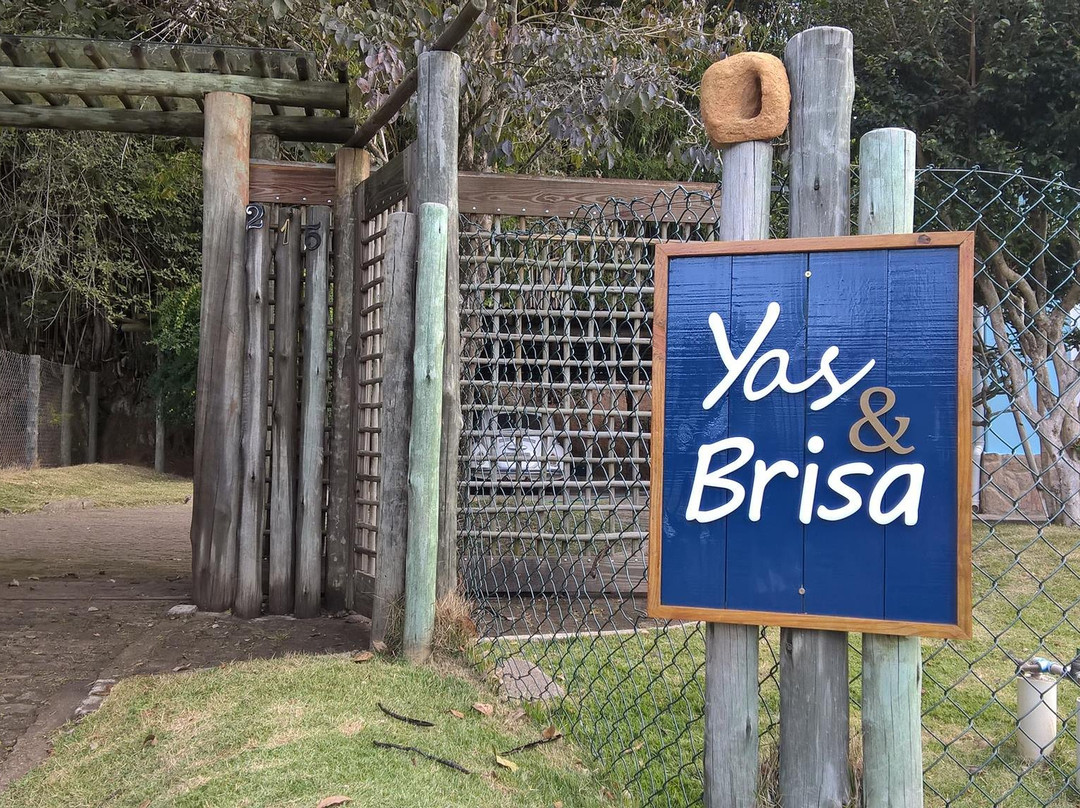 Cerâmica Yas-Cunha必去景点