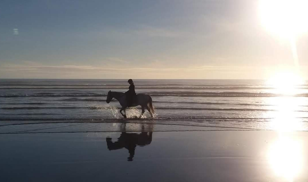 Beachbrook Riding Stables景点图片