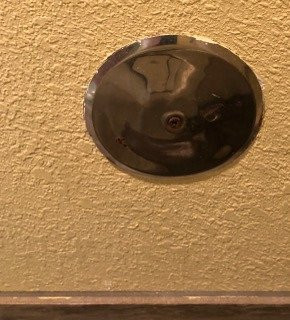 Quality Inn & Suites Albany主图