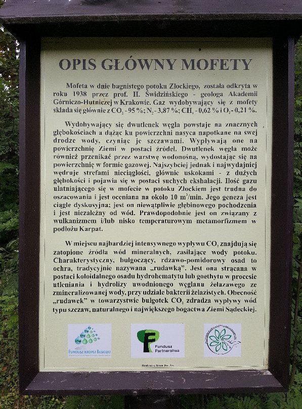 Mofeta w Złockiem imienia Profesora Henryka Swidzinskiego景点图片