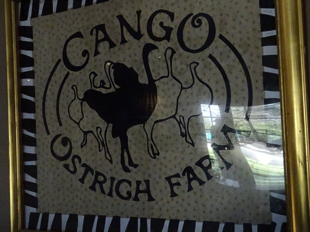 Cango Ostrich Show Farm景点图片