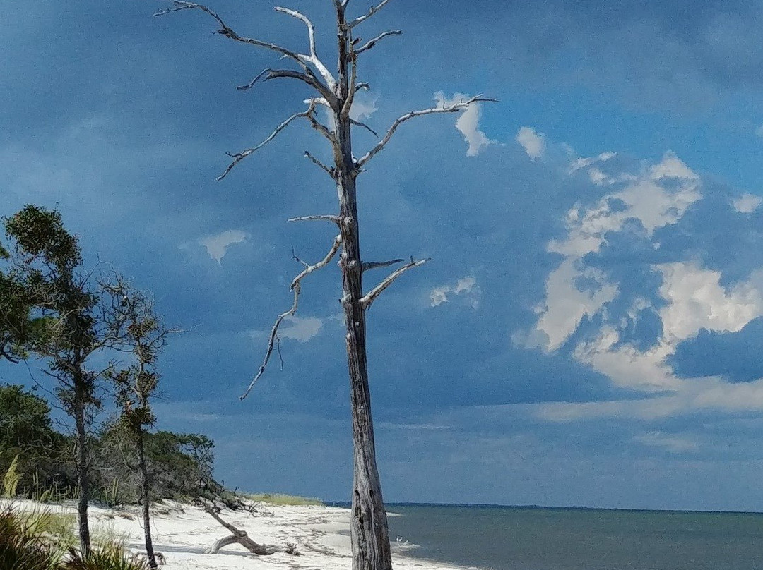 Bald Point State Park-Alligator Point必去景点