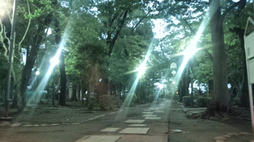 Nishinippori Park景点图片