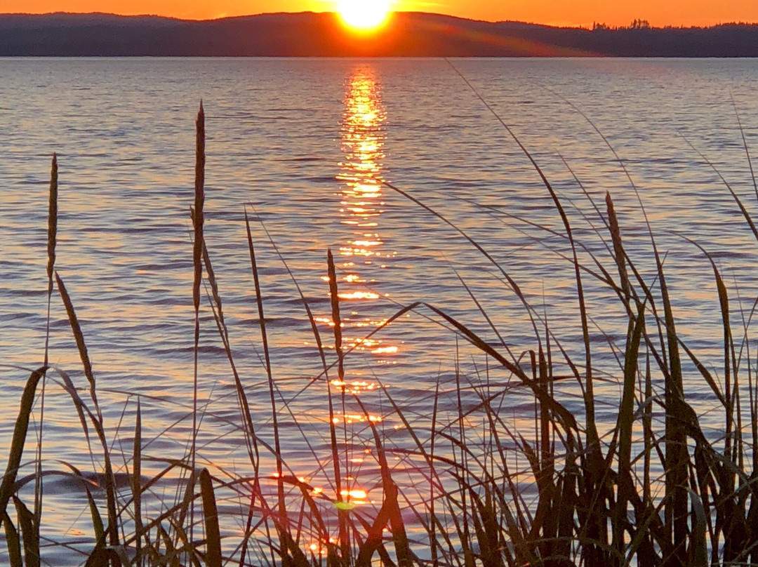 Smillie's Bed & Breakfast主图