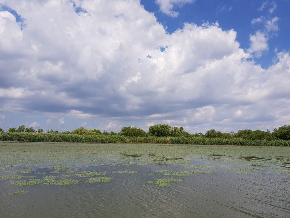 Szabics port and Szabadidőpart-Tiszafured必去景点