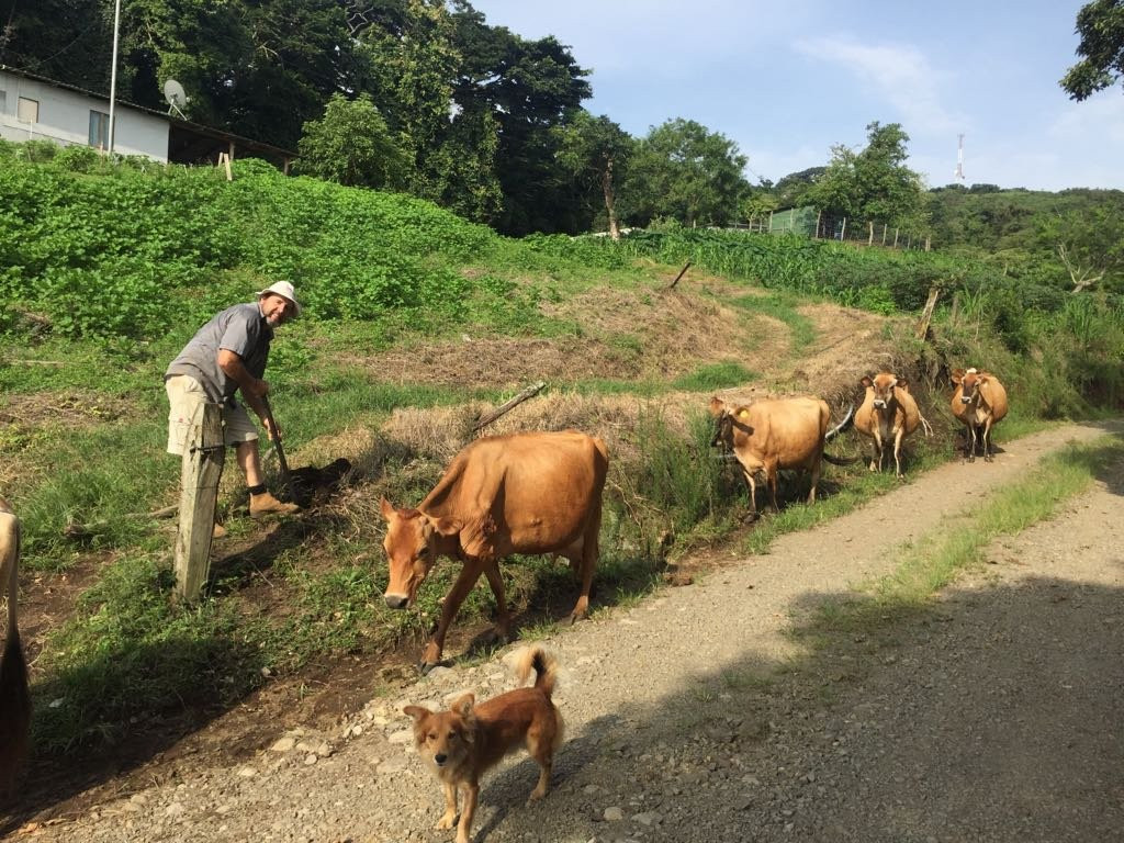 Finca El Paraiso CR - Cheese Farm Tour-Los Tornos必去景点