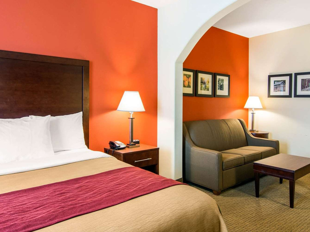 Comfort Inn & Suites主图