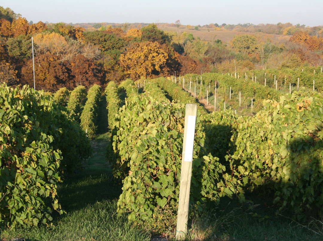 Two Saints Winery-Saint Charles必去景点