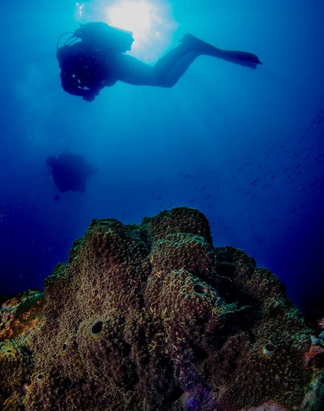 Buceo Crised景点图片