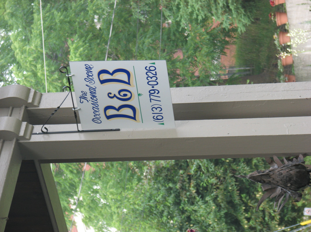 The Occasional Scone B&B主图