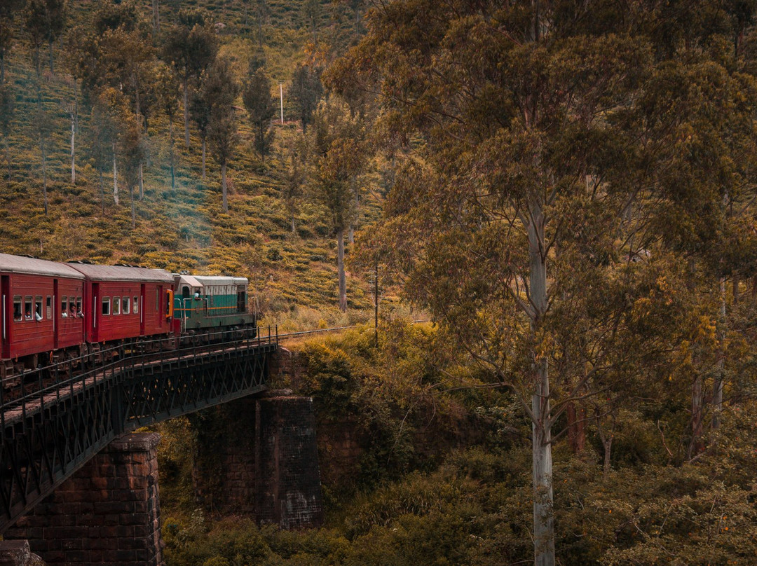 U2 vacations-尼甘布必去景点