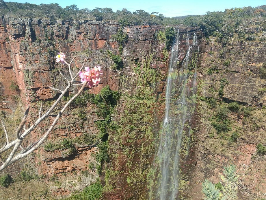 Cachoeira do Jatoba景点图片