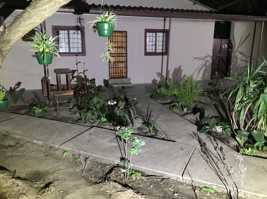 Kololo Bed & Breakfast主图