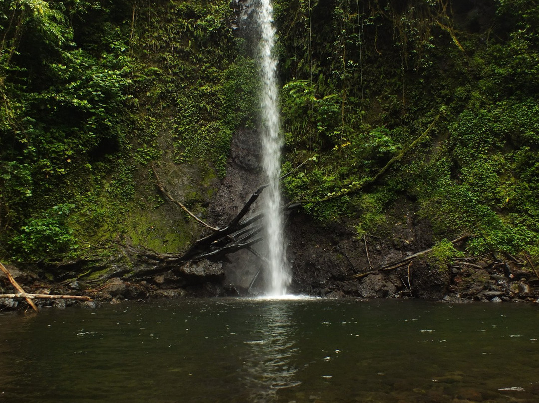 Bombaim Waterfalls景点图片