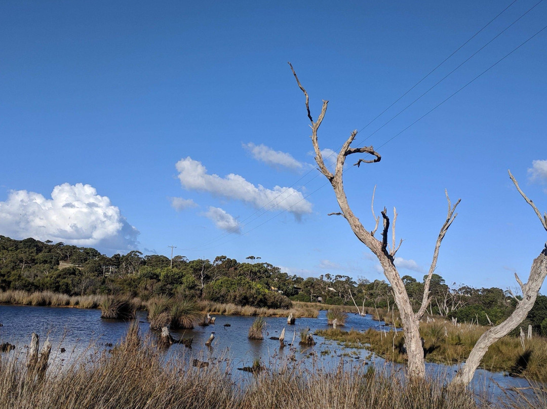 Coogoorah Park Nature Reserve-安格尔西岛必去景点