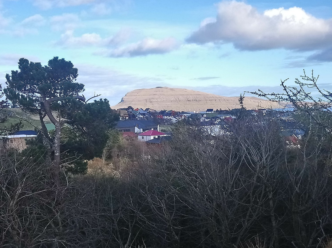 Viðarlundin Park景点图片