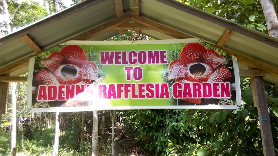 Adenna Rafflesia Garden