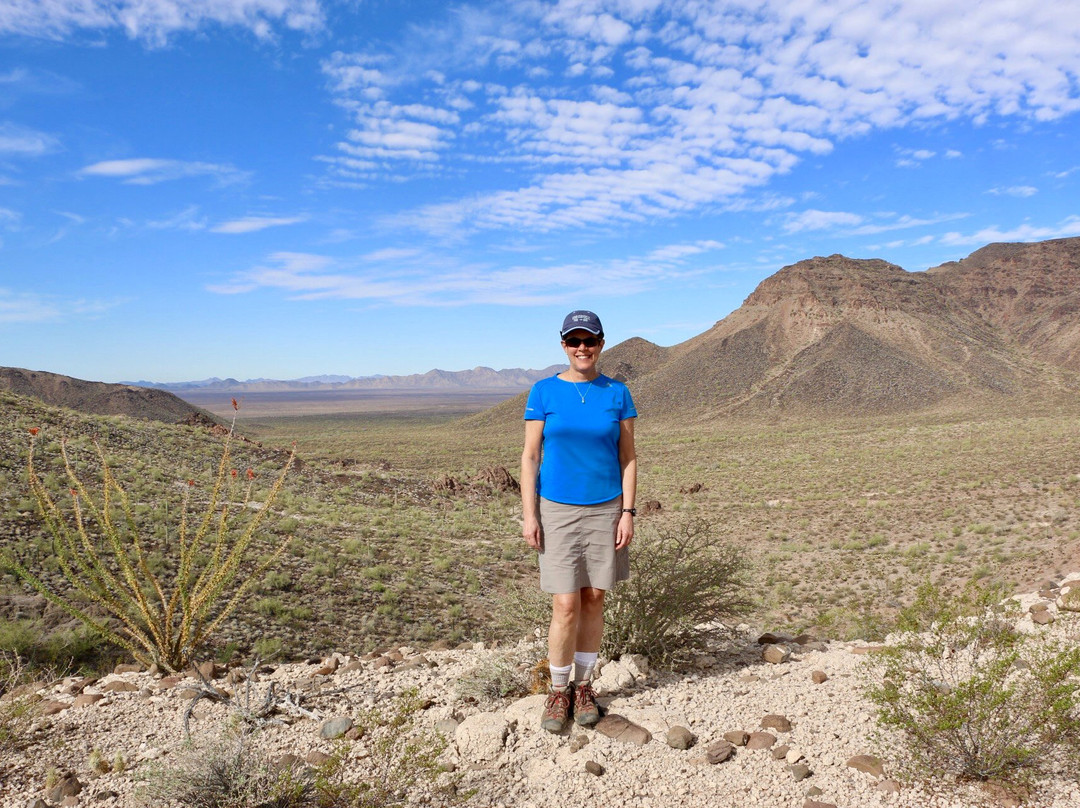 Cabeza Prieta National Wildlife Refuge-Ajo必去景点