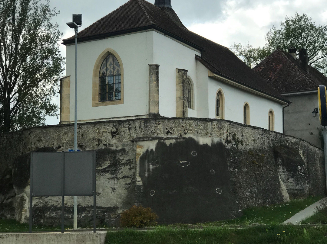 Musée Romain de Vallon景点图片