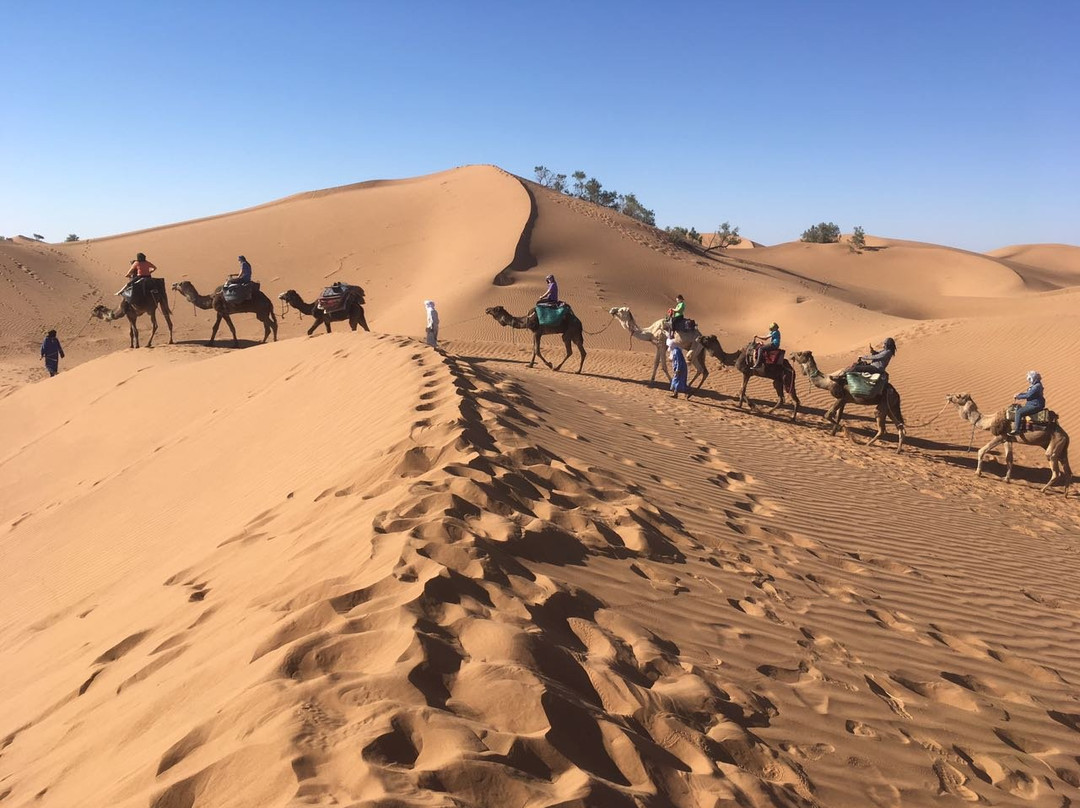 Adventures Desert-迈哈米德必去景点