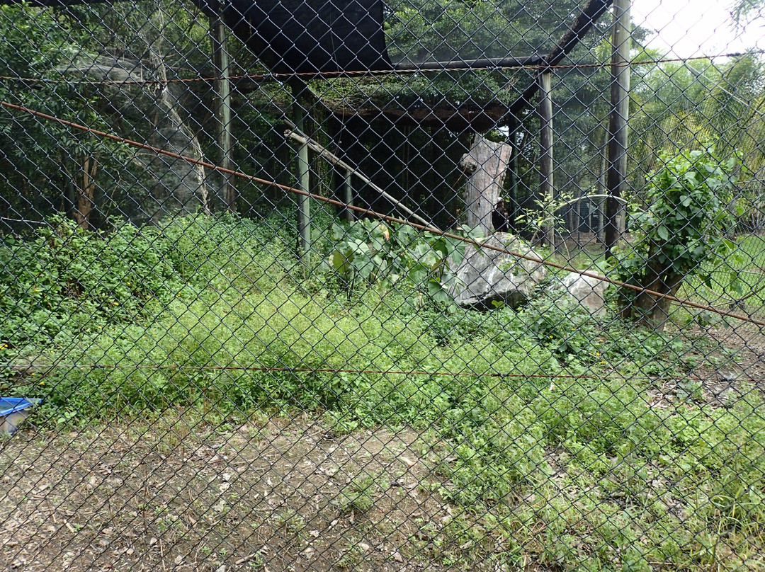 Daintree Wild Bed and breakfast-Daintree必去景点