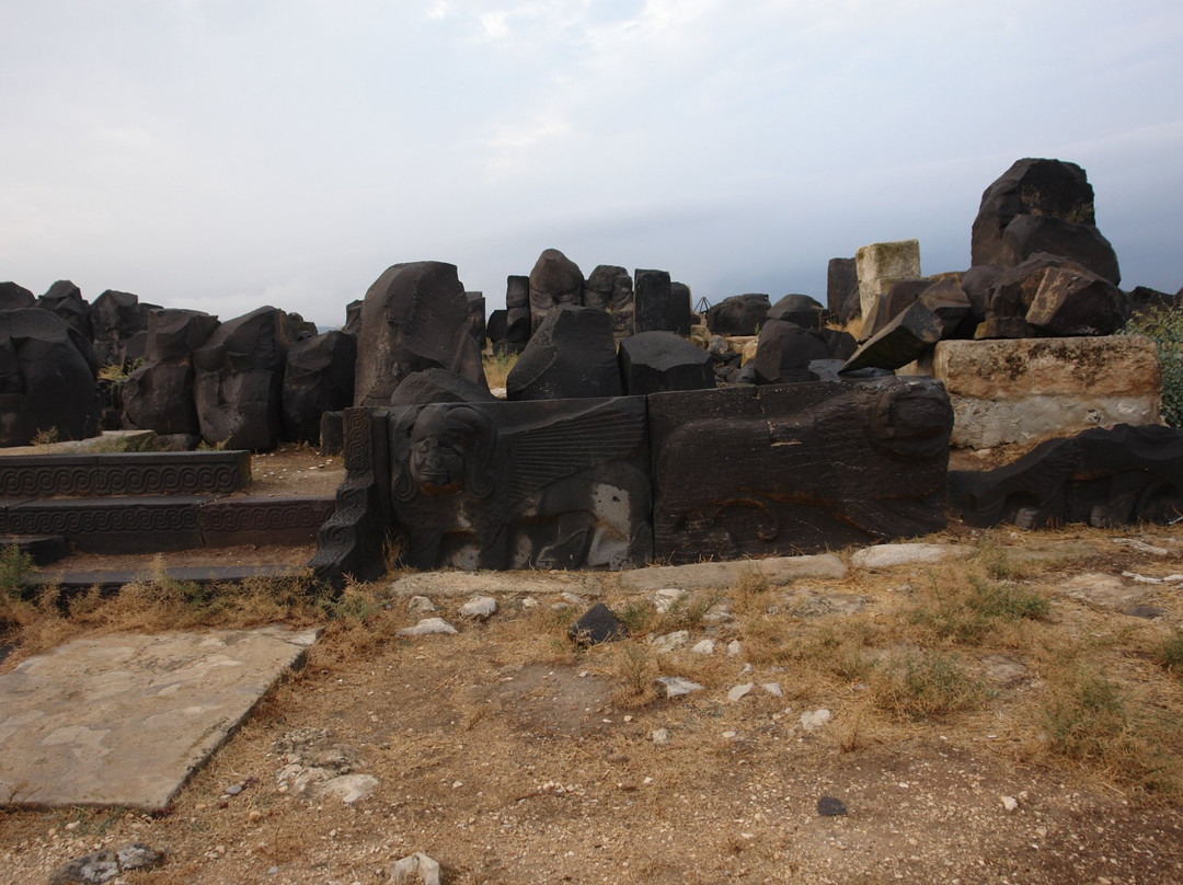 Saint Simon Citadel (Sam’an Citadel, Qalat Samaan)景点图片