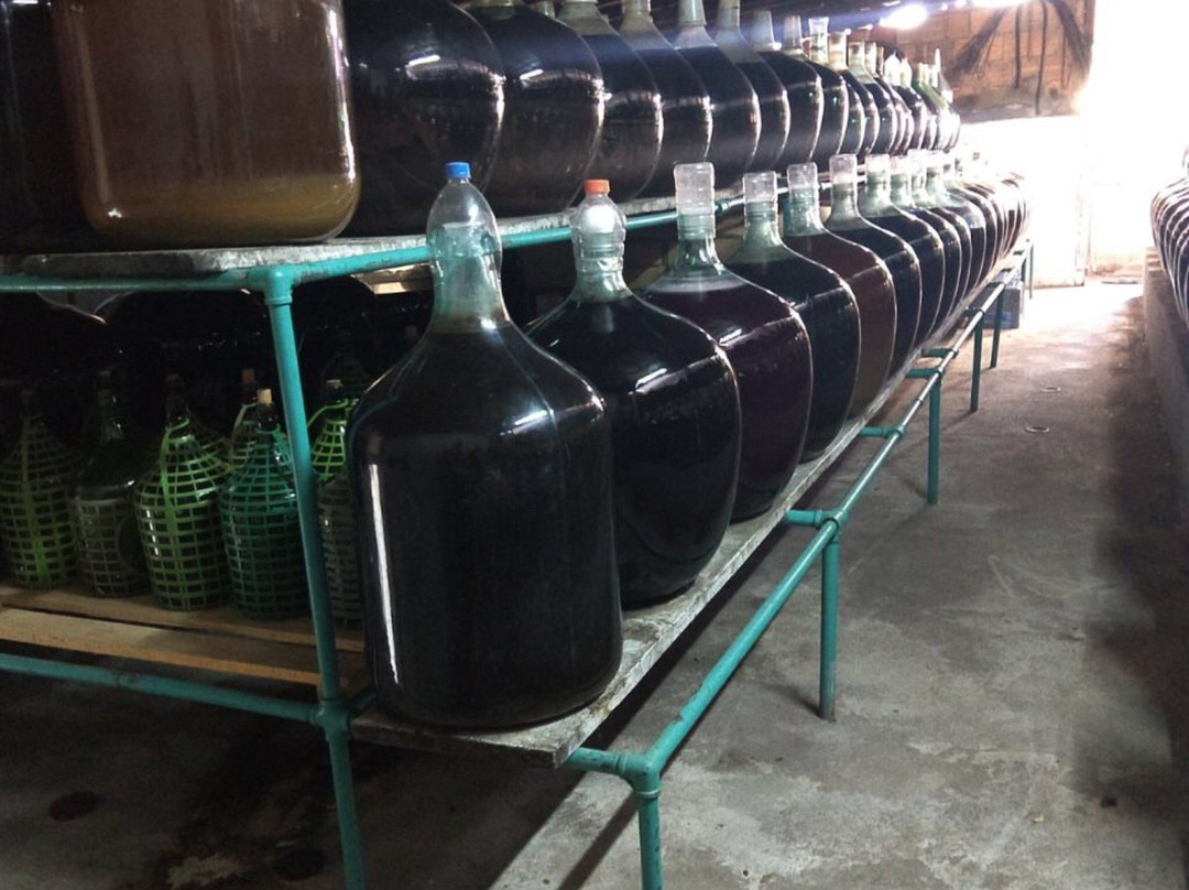 Vinhos e Licores Maiworm-彼得罗波利斯必去景点