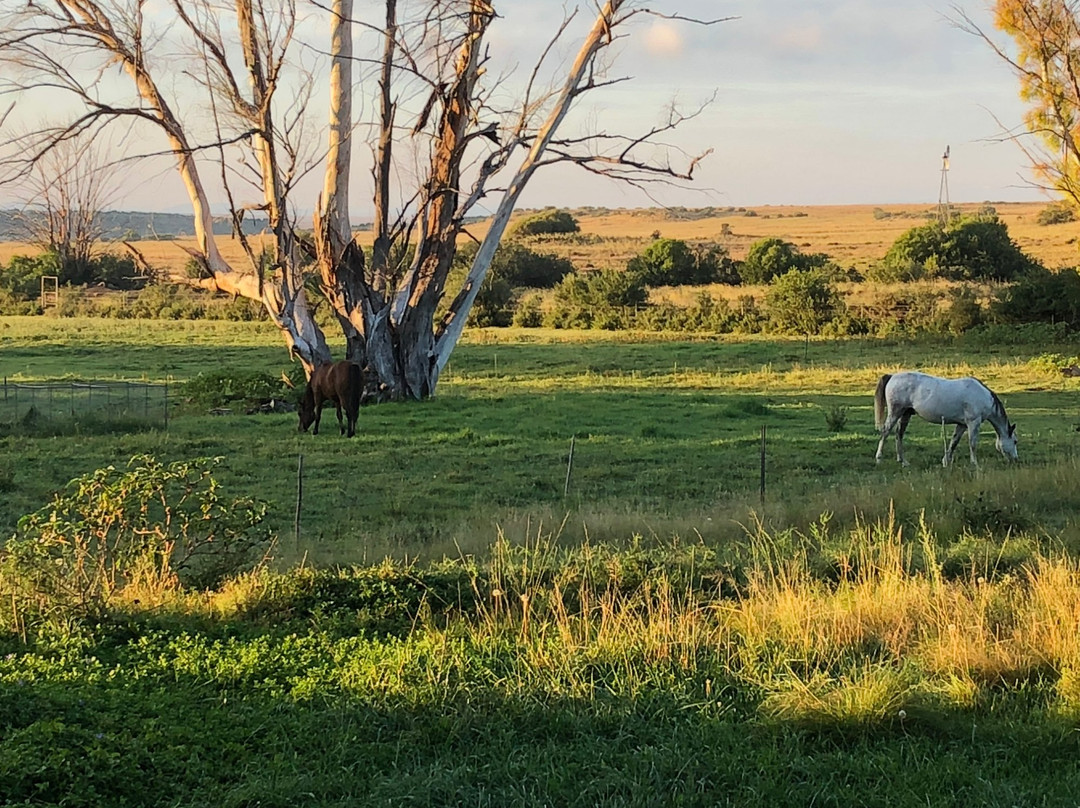 Garingboom Guest Farm主图