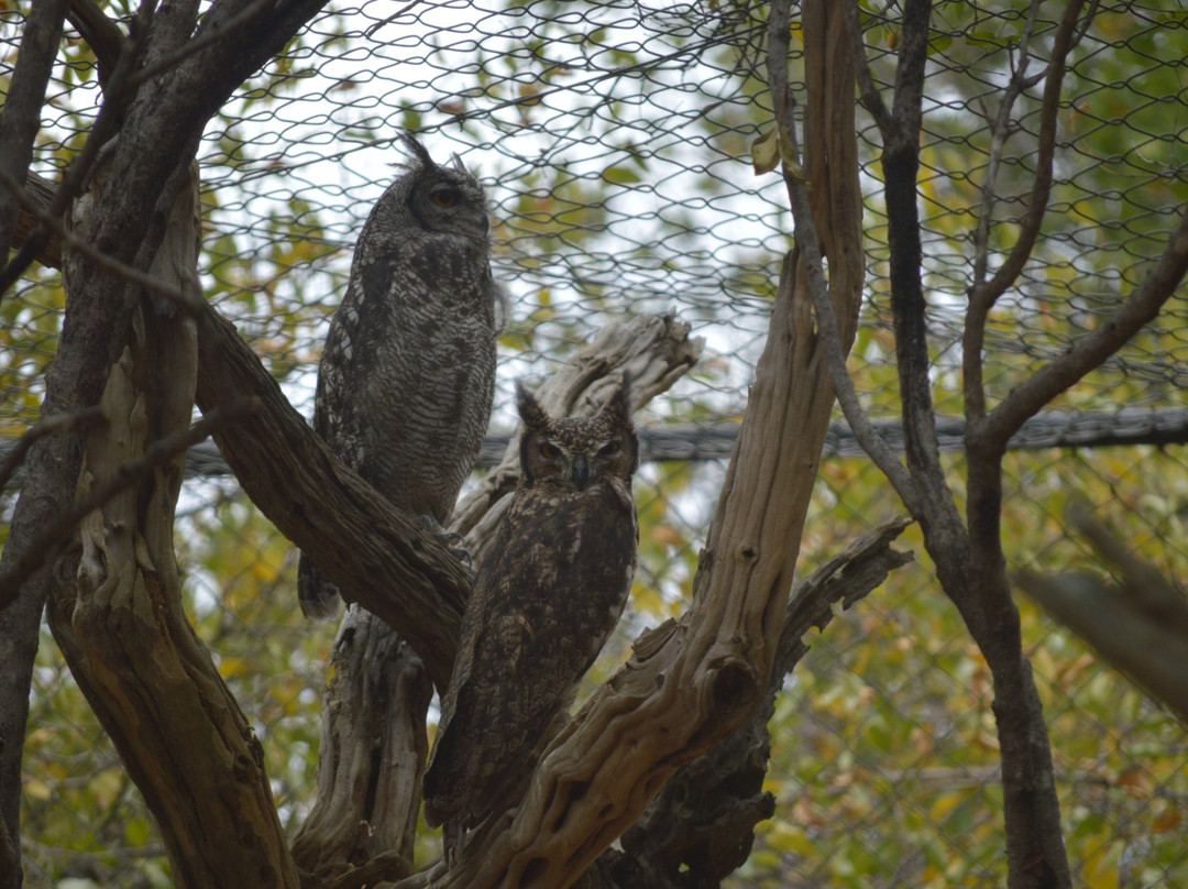 Feracare Wildlife Centre景点图片