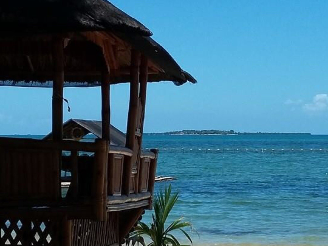 Nichos Island Resort主图