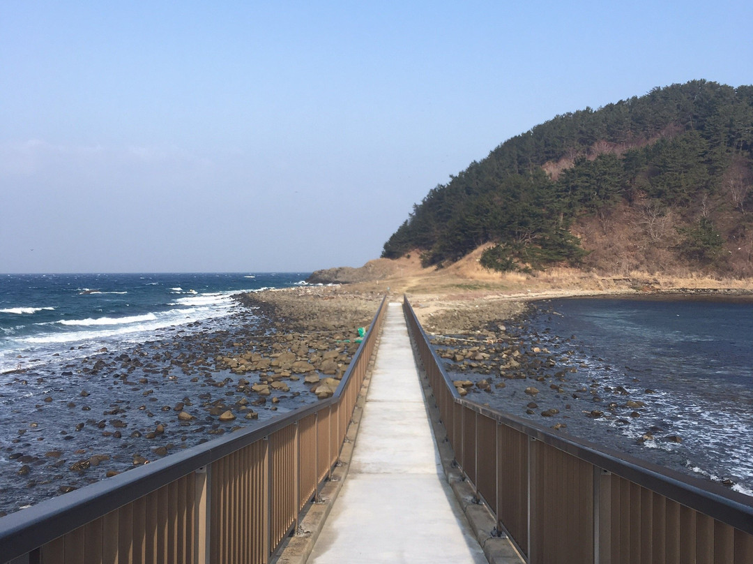 Natsudomari Peninsula景点图片