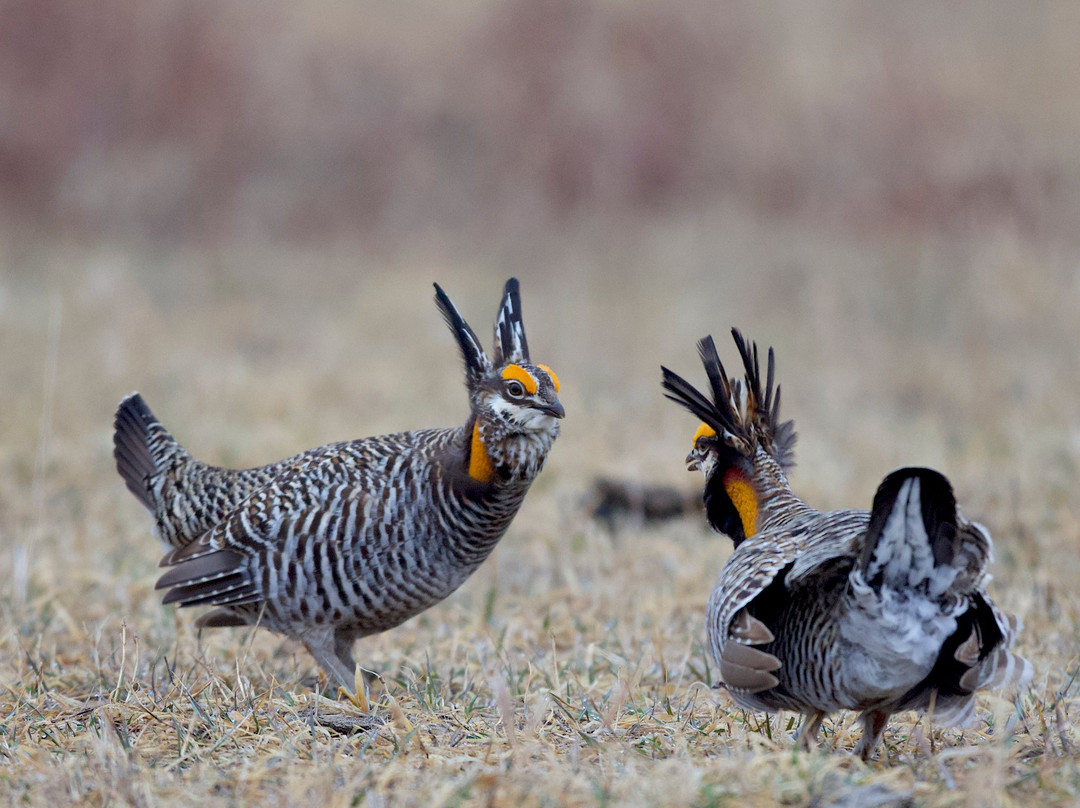 Calamus Outfitters-Burwell必去景点