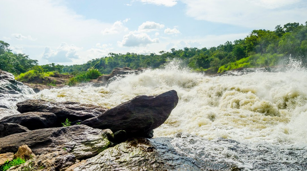 Gorillas and Beyond Safari-恩德培必去景点