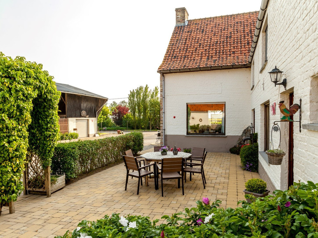 B&B Het Polderhof主图