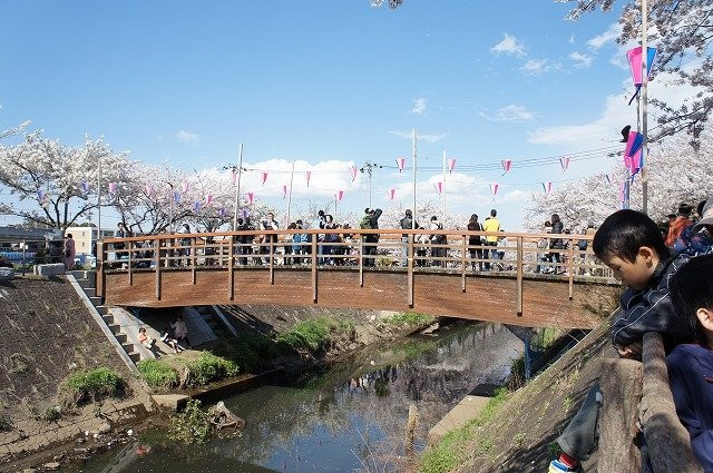 Ebi River-船桥市必去景点