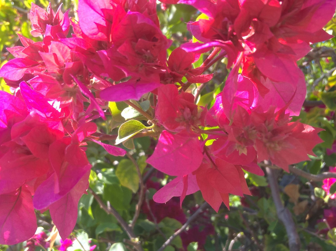 Pousada Sao Jorge主图