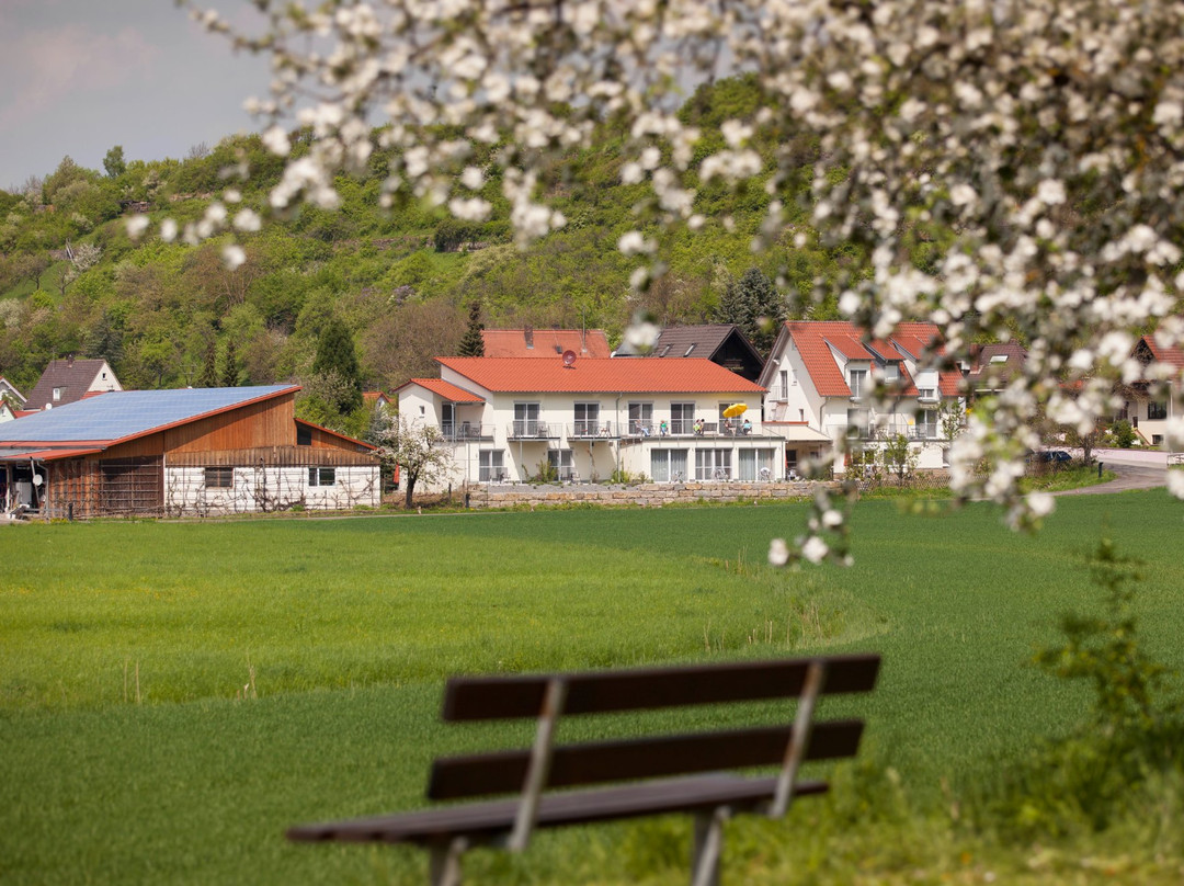 Gastehaus Pension Heuler主图