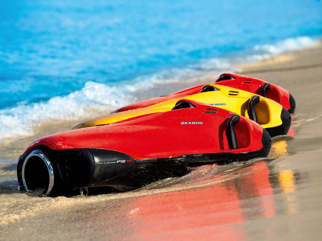 Beach Ventures-劳德代尔堡必去景点