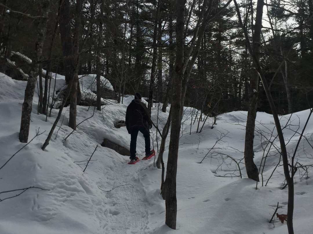 Kinsmen Park-苏圣玛丽必去景点