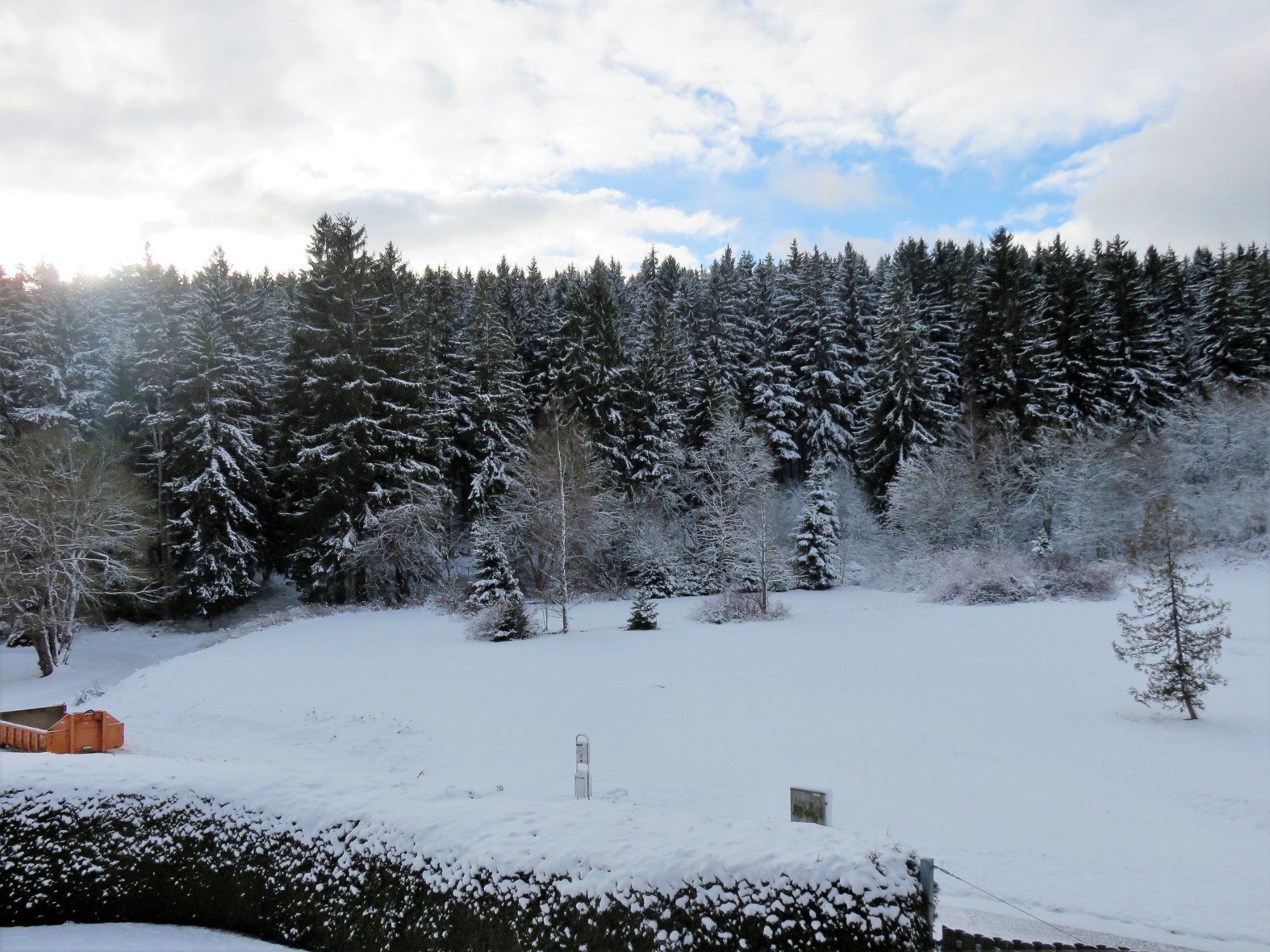 Schwarzwaldhotel Ruhbuehl-酒店景观