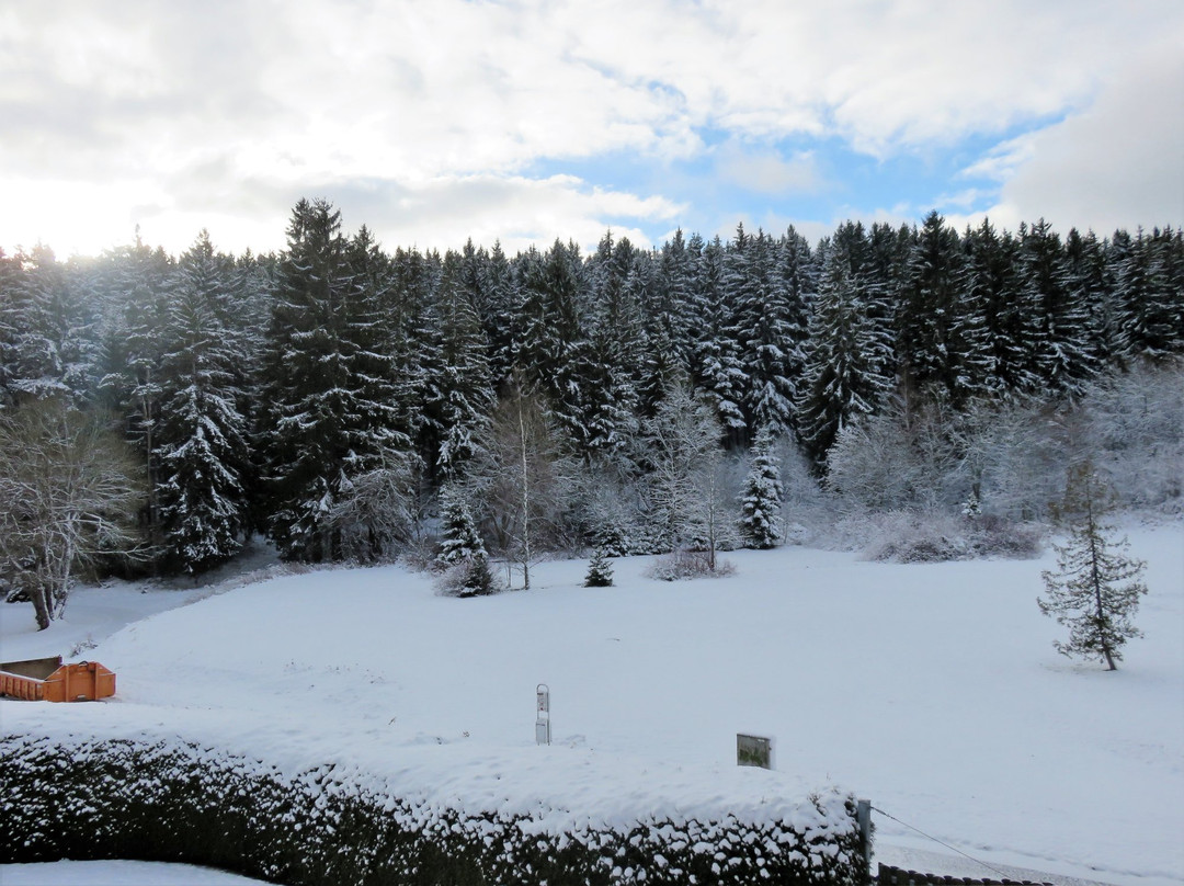 Schwarzwaldhotel Ruhbuehl主图