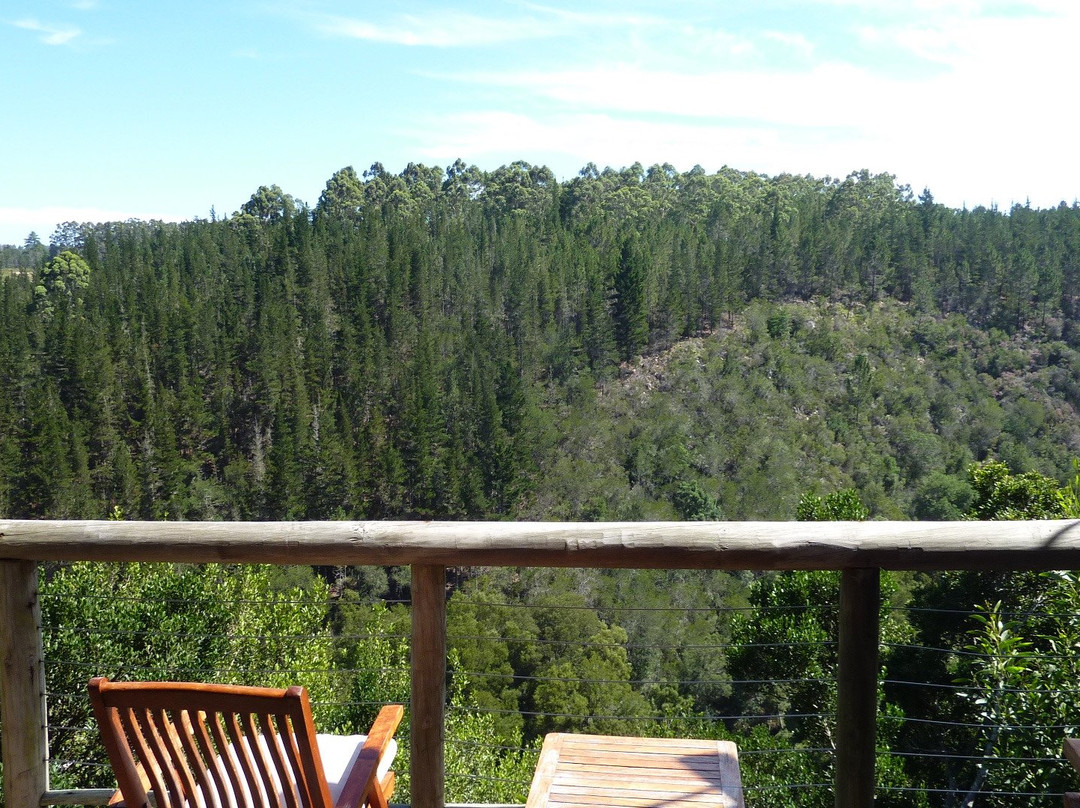 阿尔树杆洛奇主图