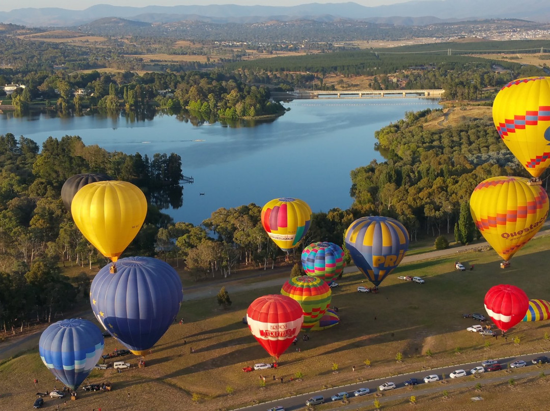 Balloon Aloft Canberra景点图片