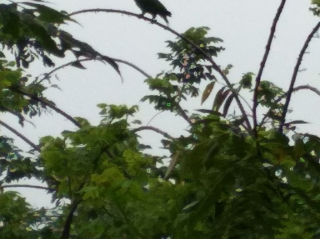 Hotel El Descanso del Duque主图