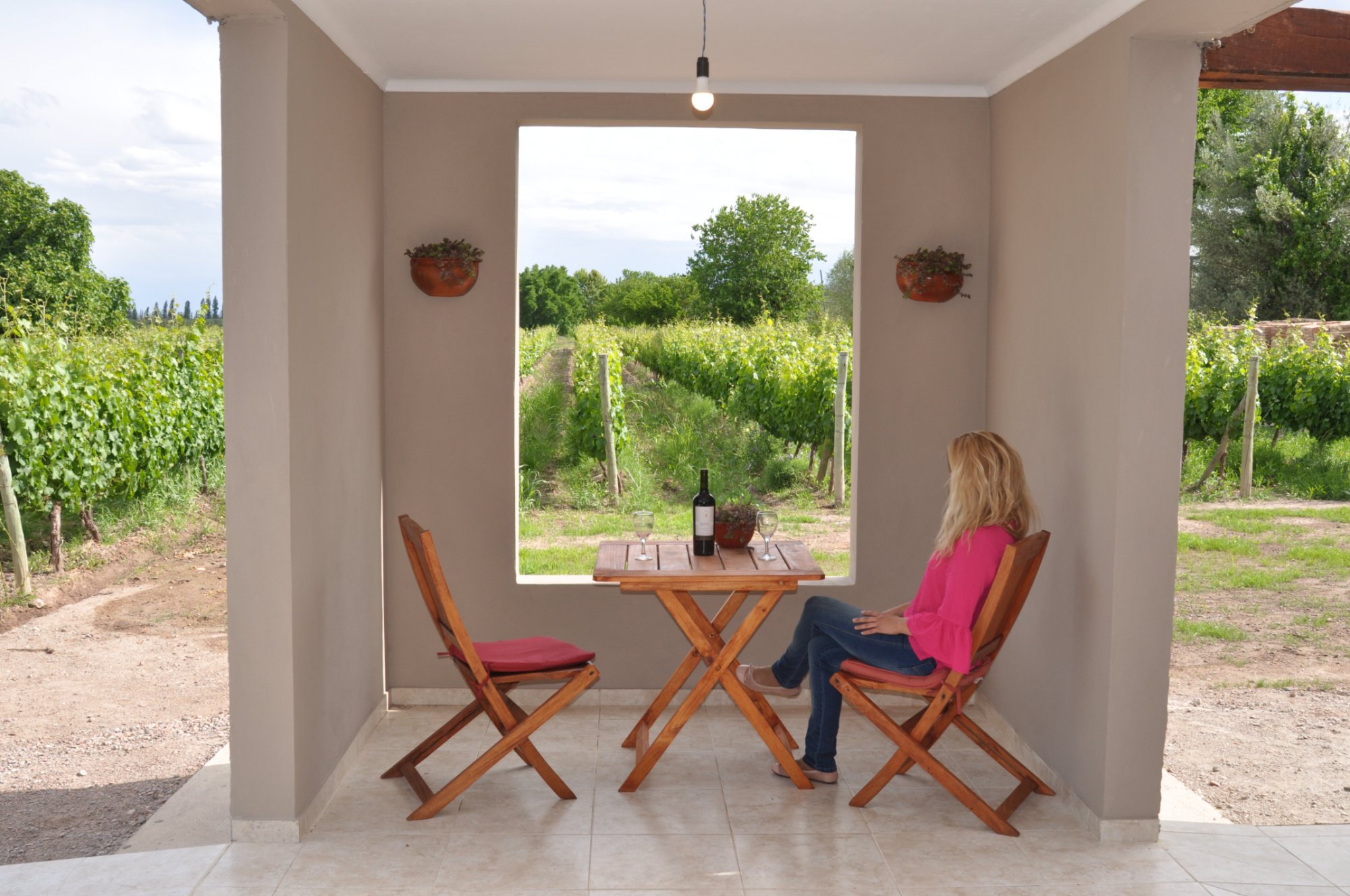 Posada Cavieres Wine Farm-官方