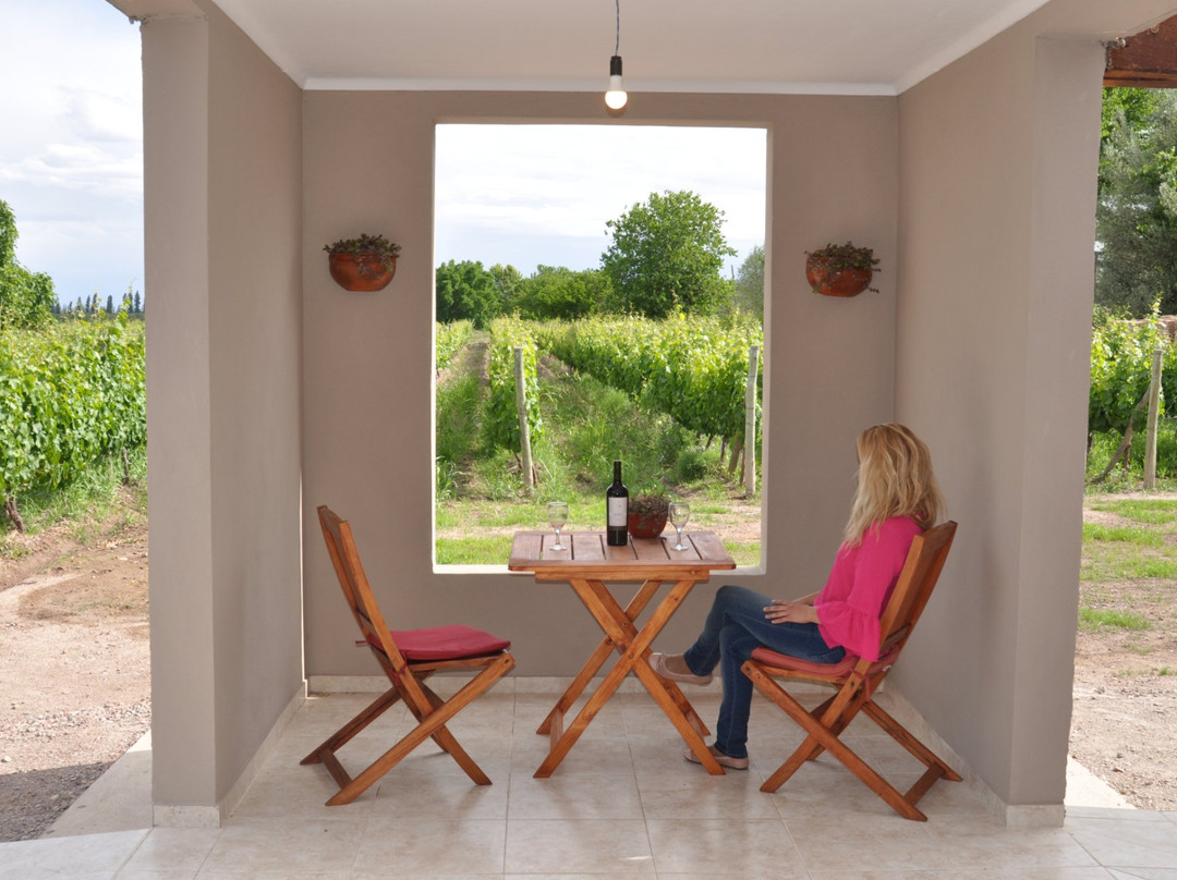 Los Arboles酒店住宿-Posada Cavieres Wine Farm